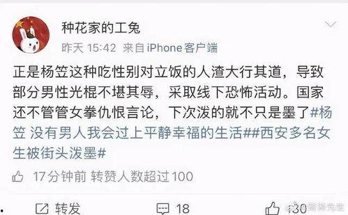 娱乐圈吃瓜段子搞笑,吃瓜段子背后的欢乐风暴
