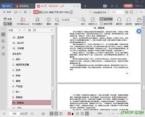 421页pdf娱乐圈吃瓜文件电子版,421页PDF文件深度解析