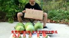 娱乐吃瓜搞笑视频,娱乐吃瓜搞笑视频盘点，轻松一刻尽在其中