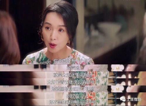 娱乐吃瓜酱的瓜是真的吗,娱乐吃瓜酱瓜的真实性探讨