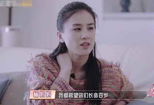 娱乐吃瓜酱婆婆是谁啊,娱乐圈幕后观察者的神秘面纱