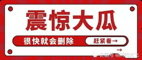 娱乐圈八卦吃瓜总汇,揭秘421八卦汇总背后的真相与热议