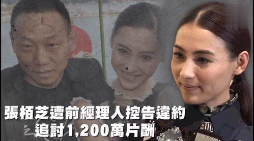 娱乐吃瓜用的配音,揭秘“吃瓜”背后的配音艺术