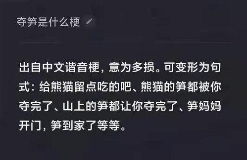 娱乐吃瓜资料来源于哪里,揭秘娱乐圈吃瓜资料的来源与传播