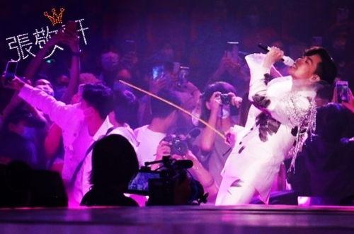 娱乐吃瓜酱看演唱会,演唱会现场狂欢瞬间