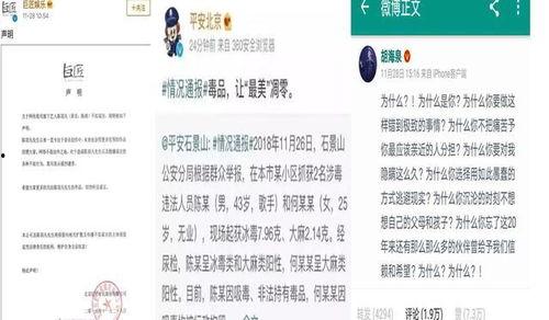 娱乐圈吃瓜用啥软件,揭秘热门软件，轻松掌握八卦动态