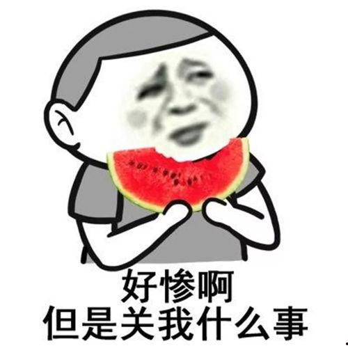 娱乐吃瓜酱拒绝白嫖,守护原创精神