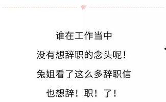 娱乐吃瓜酱辞职信,揭秘背后原因与行业影响