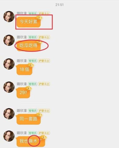 娱乐圈吃瓜太累,轻松应对，轻松解压