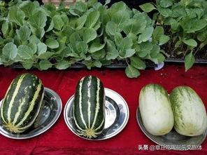 娱乐吃瓜的瓜,揭秘明星幕后故事