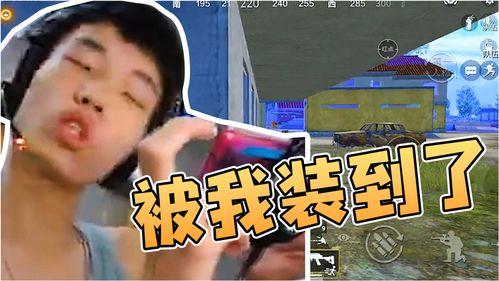 娱乐吃瓜酱鲨鱼视频下载,揭秘鲨鱼视频下载背后的秘密